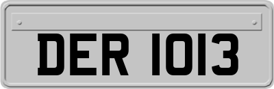 DER1013