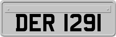 DER1291