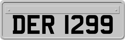 DER1299
