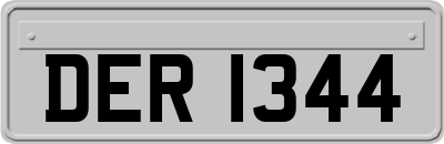 DER1344