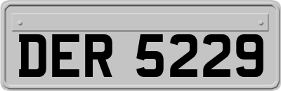 DER5229