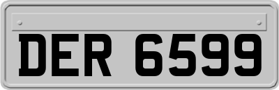 DER6599