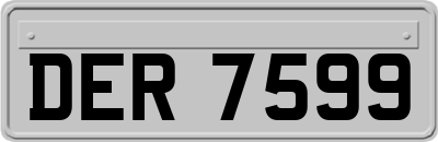 DER7599