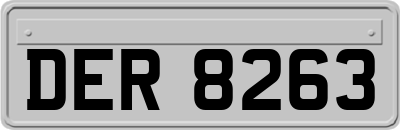 DER8263