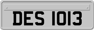 DES1013