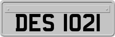 DES1021