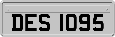 DES1095