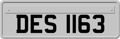 DES1163