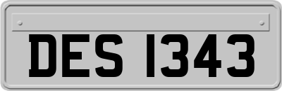 DES1343