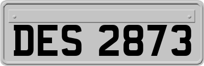 DES2873