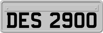 DES2900