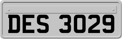 DES3029