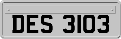 DES3103