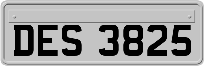 DES3825