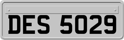 DES5029