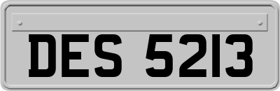 DES5213