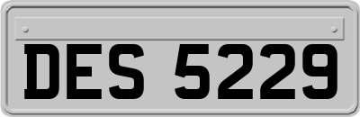 DES5229