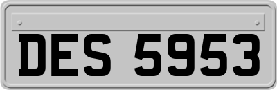 DES5953