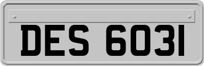 DES6031