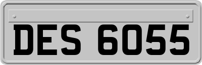 DES6055