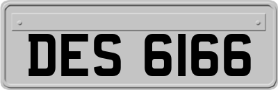 DES6166
