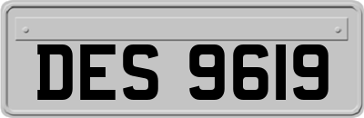 DES9619