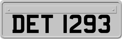 DET1293