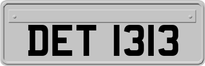 DET1313