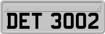 DET3002