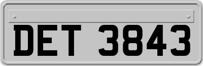 DET3843
