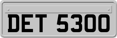 DET5300