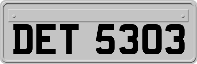 DET5303