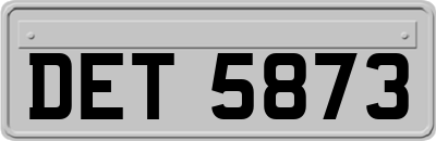 DET5873