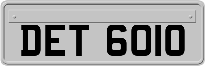 DET6010
