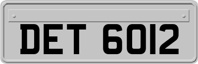 DET6012
