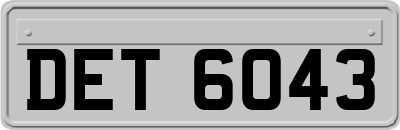 DET6043