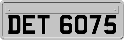 DET6075