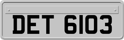 DET6103