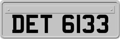 DET6133