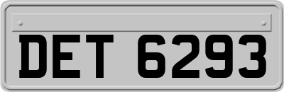 DET6293