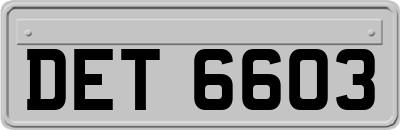 DET6603