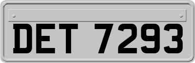 DET7293