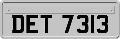 DET7313