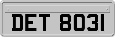 DET8031