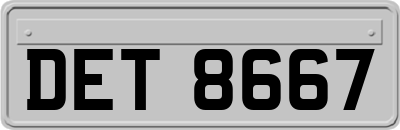 DET8667