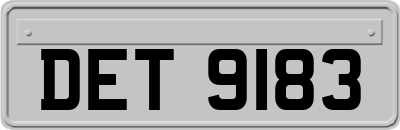 DET9183