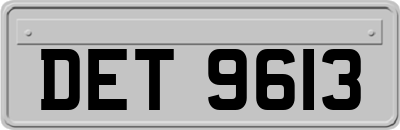 DET9613