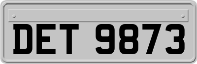 DET9873