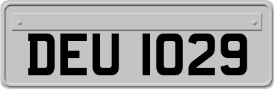 DEU1029