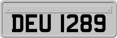 DEU1289